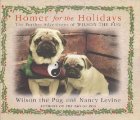Homer for the holidays
