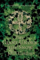 The giant under the snow
