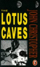 The lotus caves
