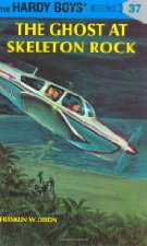 The Ghost at Skeleton Rock
