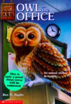 Owl in the Office