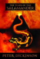 The tears of the salamander
