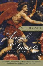 Angels and insects
