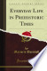 Everyday life in prehistoric times
