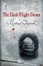 The Dark Flight Down
