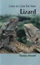 your first lizard