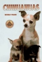 chihuahuas