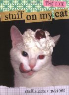 stuff on my cat