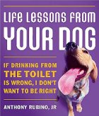 life lessons from your dog
