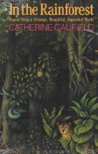 In the rainforest

