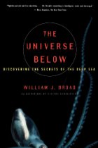 The universe below
