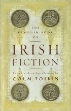 The Penguin book of Irish fiction
