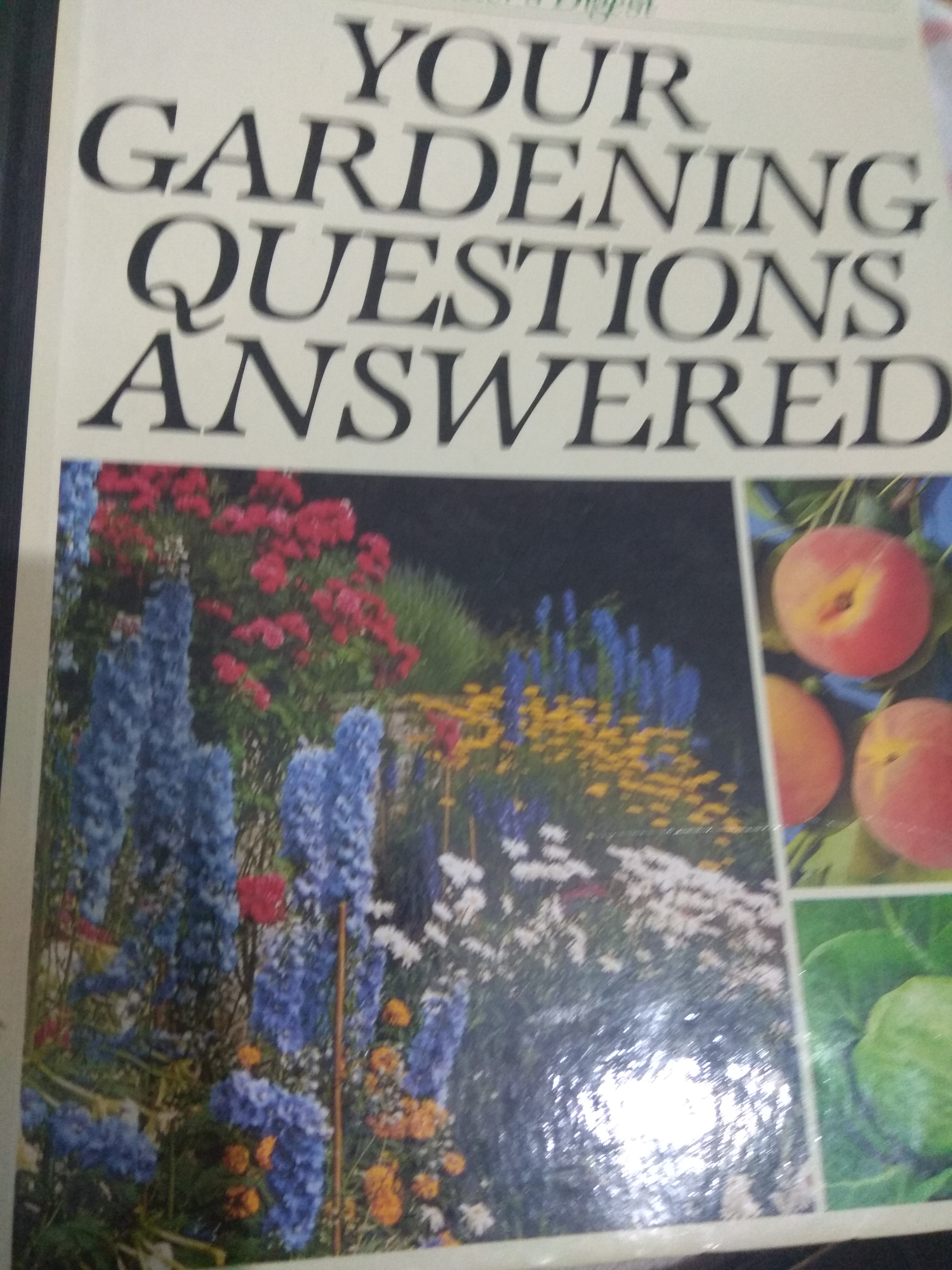 your gardening questions answered